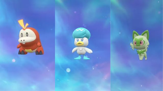 Gen 9 Starter Pokémon in Scarlett & Violet. Hueco, Spriggachito, and Quarksley attract Pokémon from around the world.