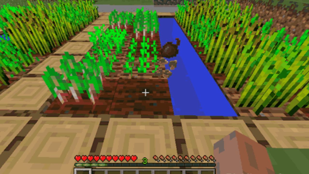 How to craft Minecraft Xbox beetroot seeds